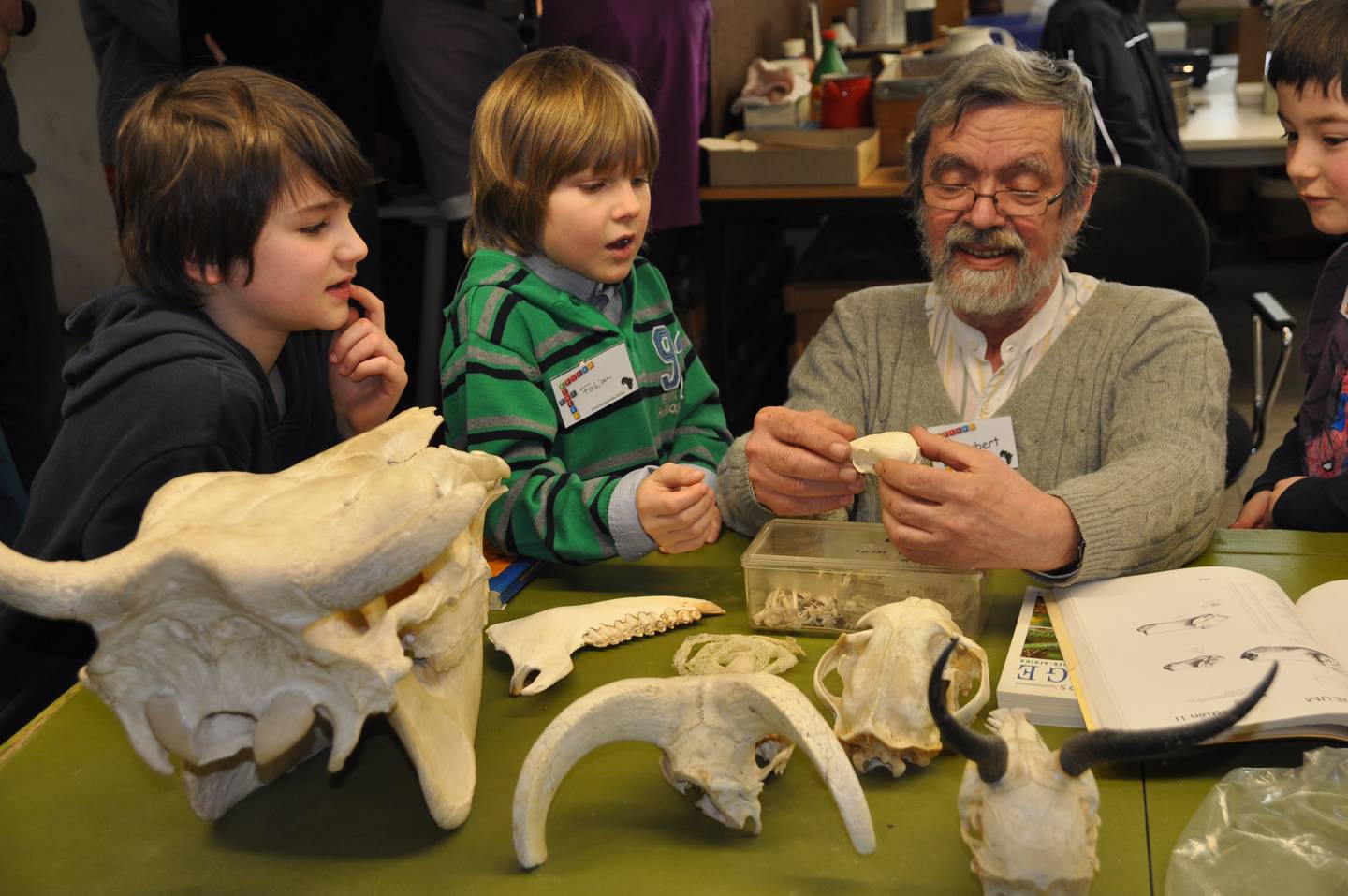 Drei Kinder und ein Mann untersuchen Fossilien